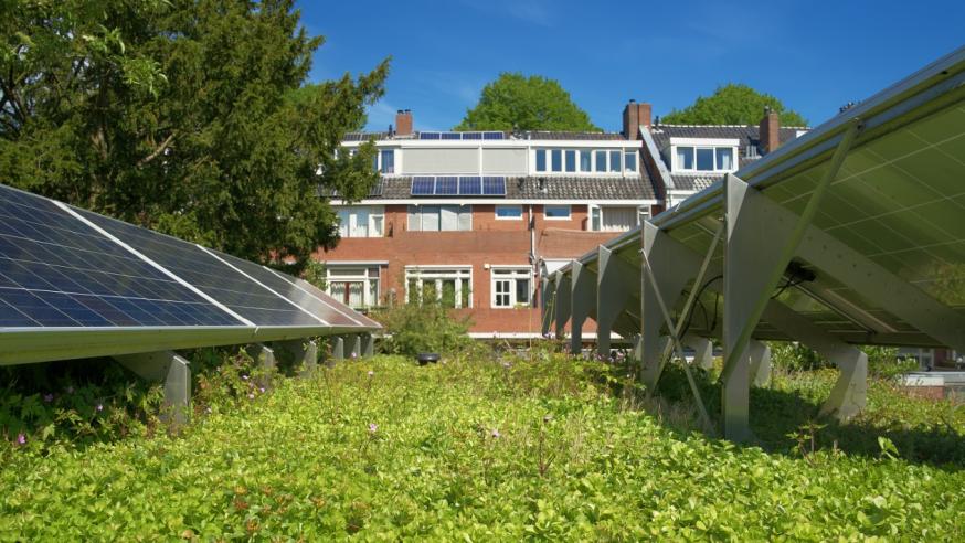 Aurinkopaneeleita nurmikolla, taustalla punatiilinen rakennus