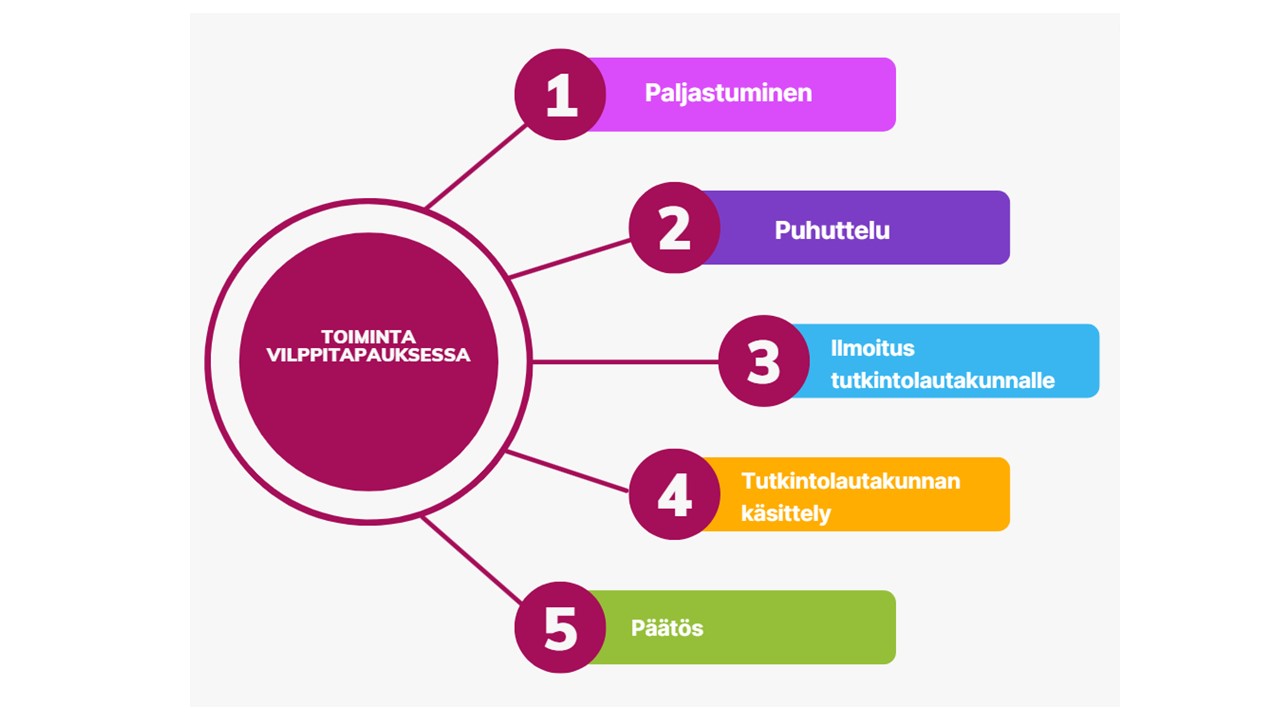 infograafissa kuvattu vilpin käsittely, avattu tekstissä