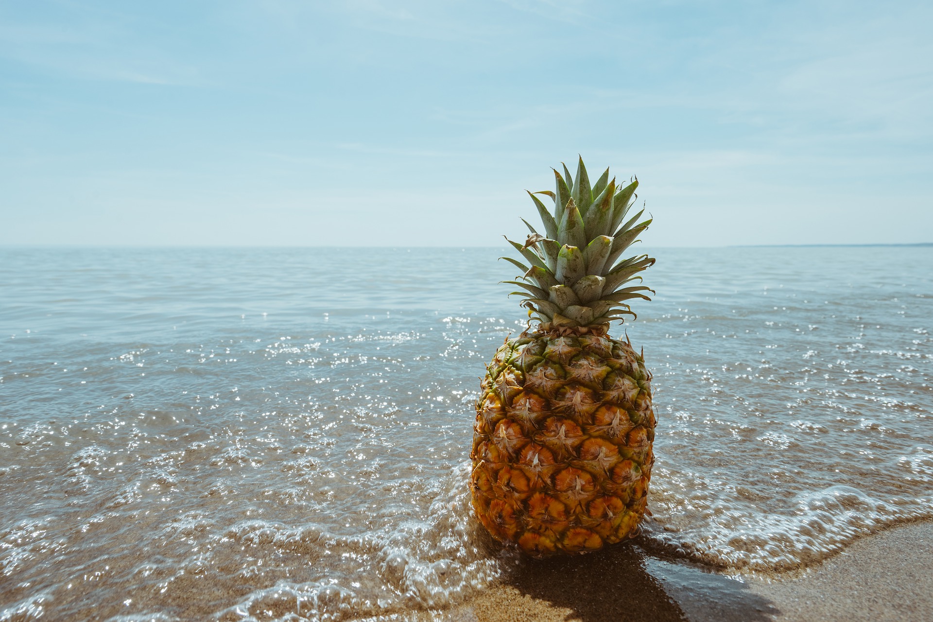 Kuvassa on ananas aurinkorannalla