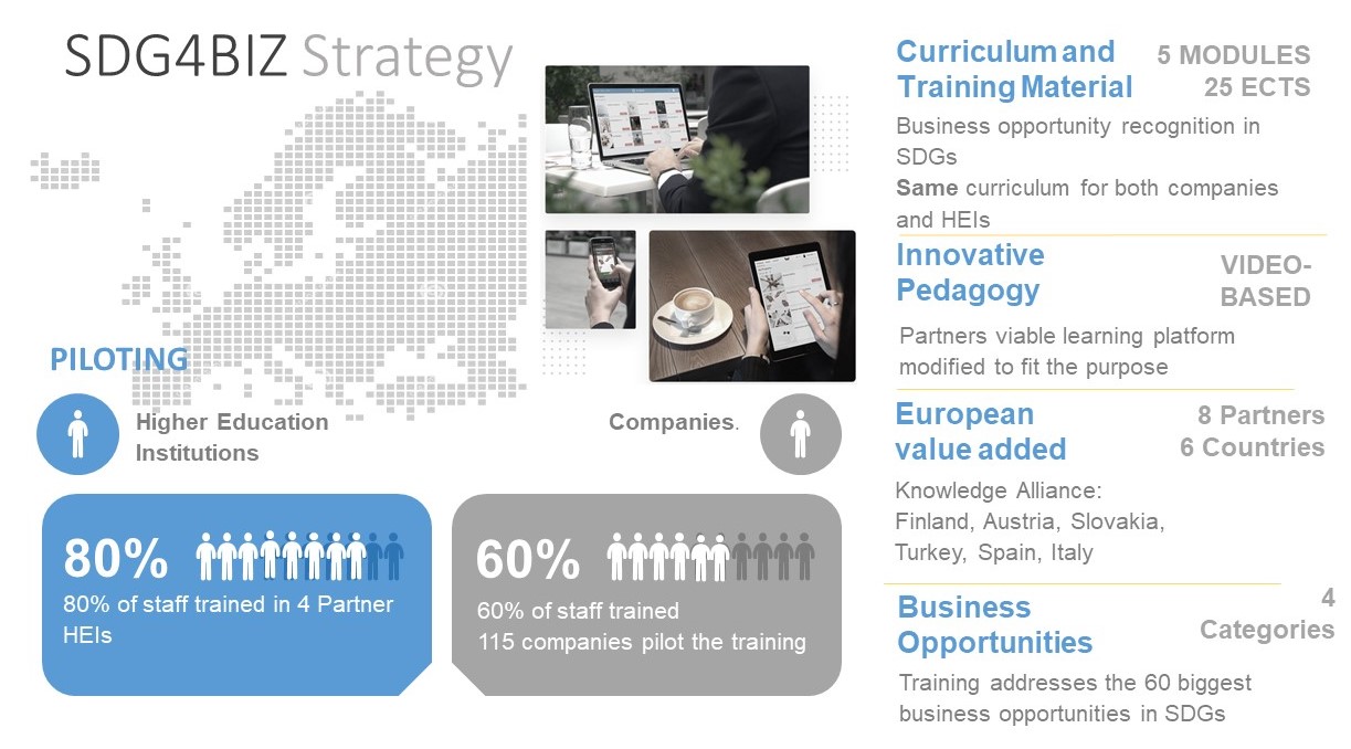 SDG4BIZ Project Strategy and Objectives are visualized in this figure.