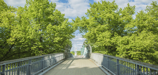 Puiden latvojen ohi kulkeva silta