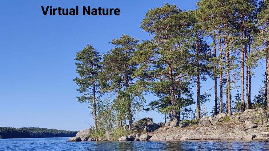 Näkymä järvestä ja saaresta, jossa on mäntyjä. Teksti Virtual Nature. 
