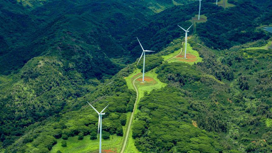 Aerial photo of white windmills in a line on green land leading off into the horizon.