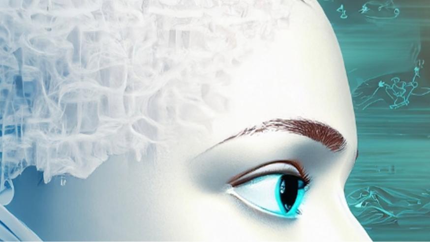 Woman pictured so that only half of the scull shows from the side. Back of head being computer net and front humanlike