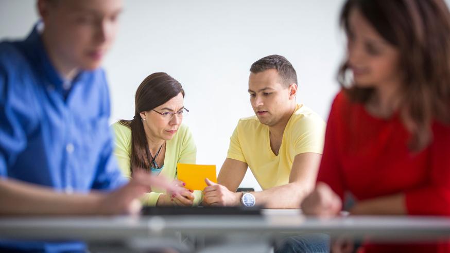 Four students working in pairs.