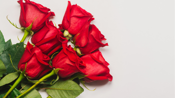 Roses