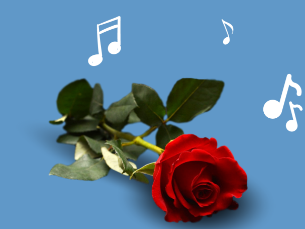 Kuvituskuva, jossa ruusu ja nuotteja sekä teksti Tangoiltapäivä.