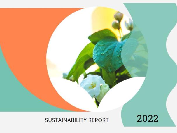 SUSTAINABILITY REPORT 