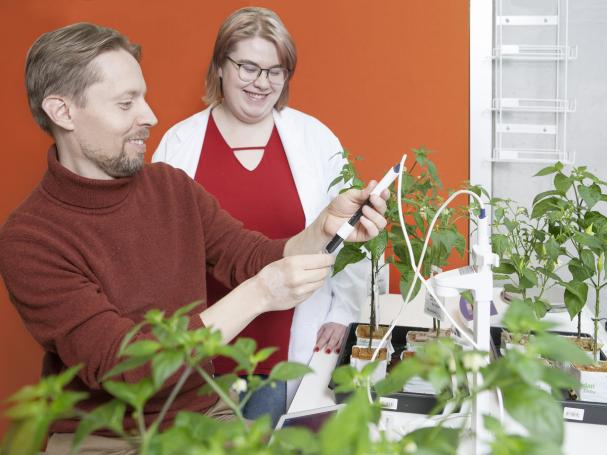 Two researchers.