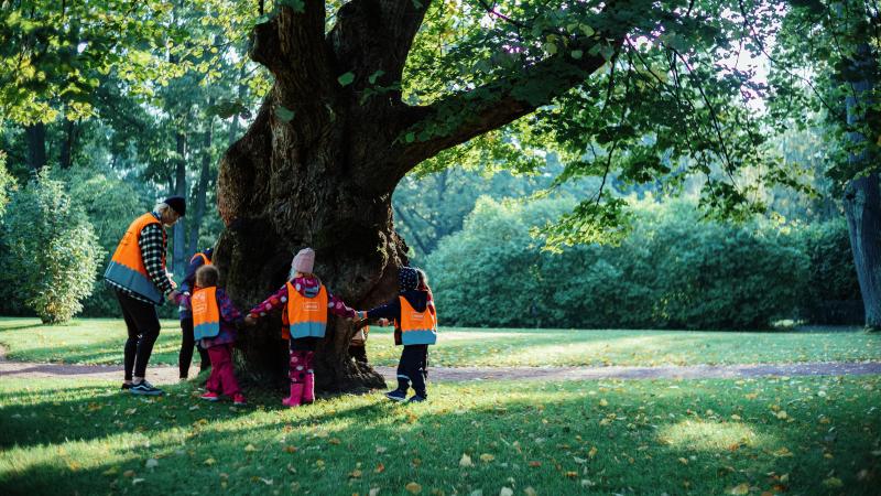 Lapset piirissä vanhan puun ympärillä