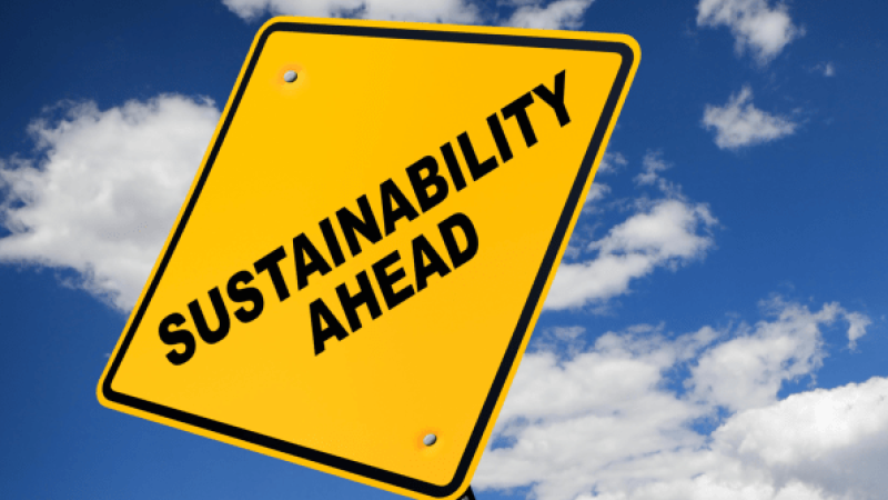 Stories in Education for Sustainability: A Teachers’ Series