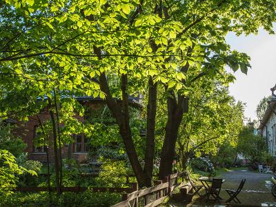 Green garden in Helsinki.